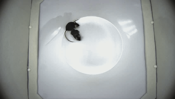 单向远离